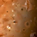 Voyager 1 Io Surface