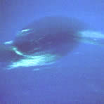 Voyager 2 - Neptune Spot 1